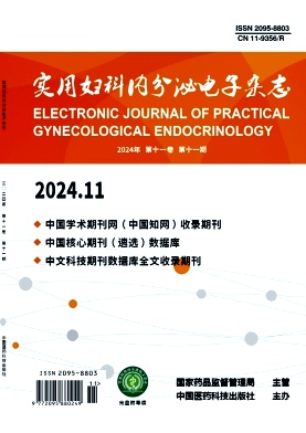 實用婦科內分泌雜志